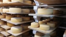 Mutschli Ziegenkäse Alp Peil Vals (GR)