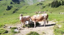 Bild_Trockenheit2