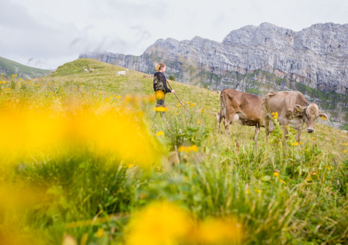 Bild_SBV_UNO-Jahr-ONLINE-1