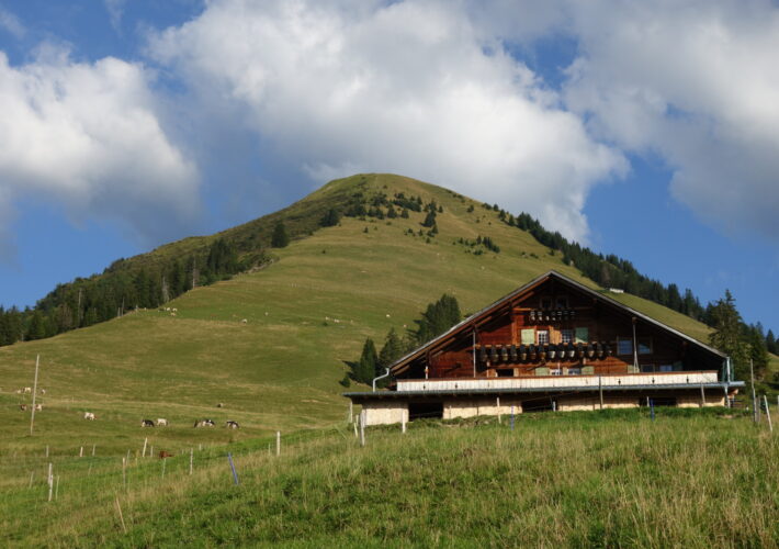 Alpexkursion